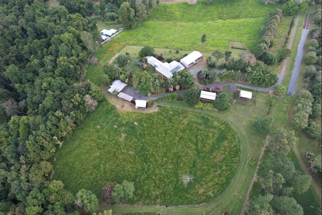 Mena Creek Flower House Экстерьер фото