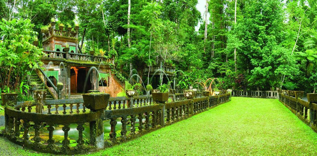 Mena Creek Flower House Экстерьер фото